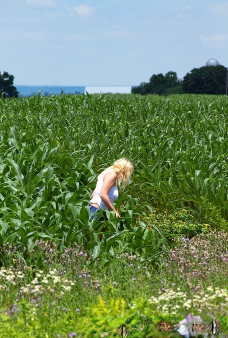 Blonde amateur Jeannine Hansen exposes her boobs and underwear by a cornfield 66883242